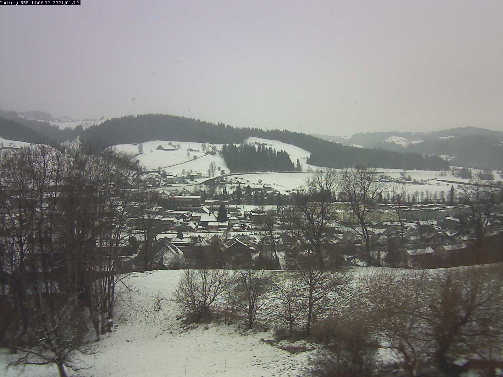 Webcam-Bild: Aussicht vom Dorfberg in Langnau 20210112-110601