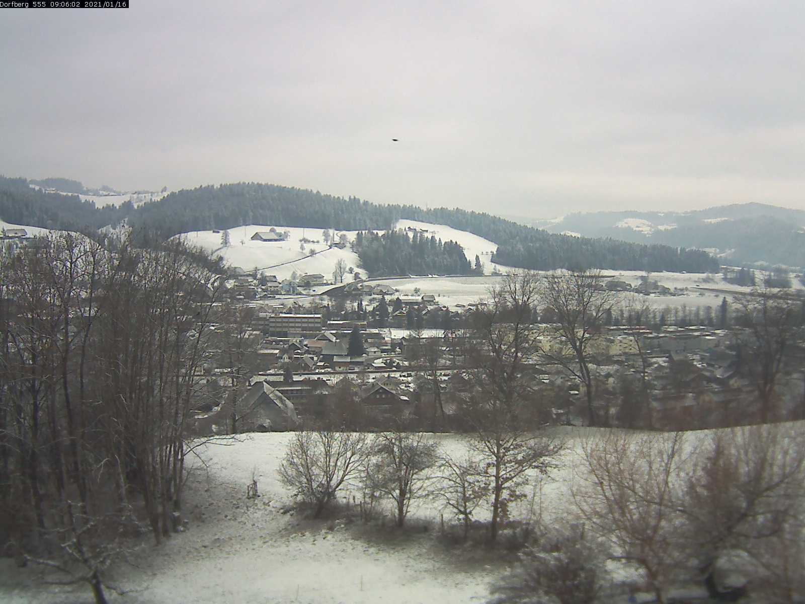 Webcam-Bild: Aussicht vom Dorfberg in Langnau 20210116-090601