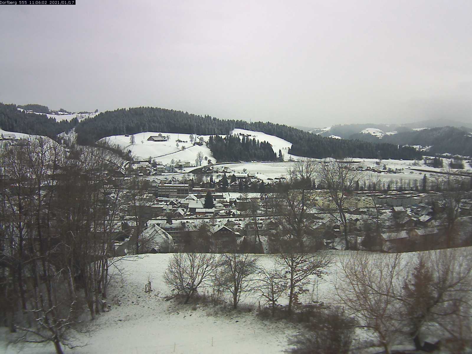Webcam-Bild: Aussicht vom Dorfberg in Langnau 20210117-110601