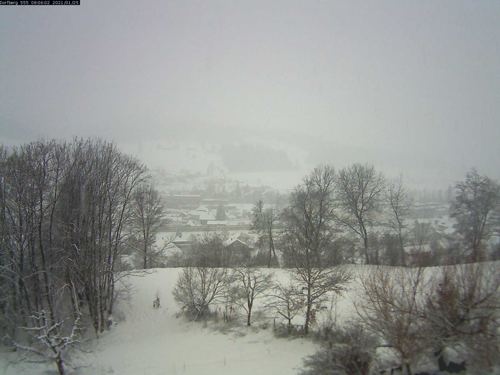 Webcam-Bild: Aussicht vom Dorfberg in Langnau 20210125-080601