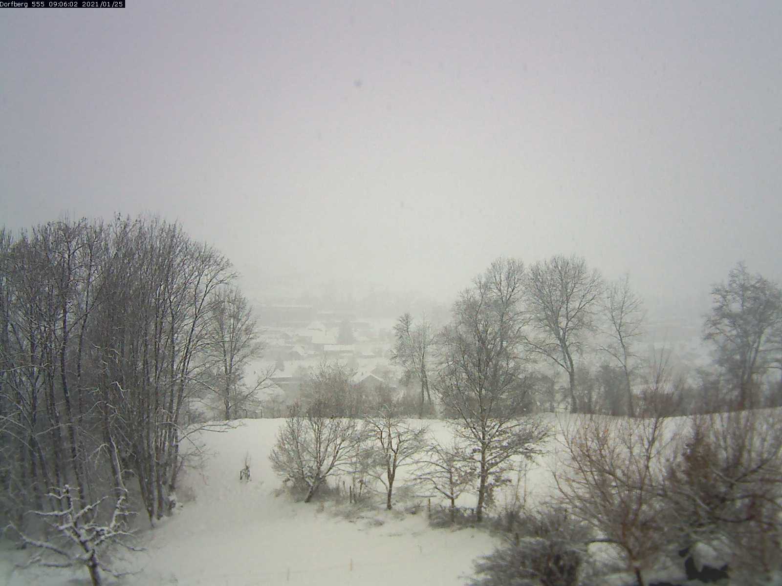 Webcam-Bild: Aussicht vom Dorfberg in Langnau 20210125-090601