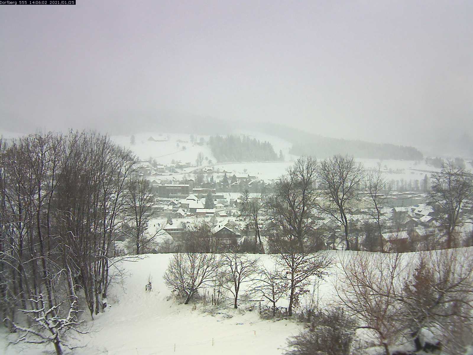 Webcam-Bild: Aussicht vom Dorfberg in Langnau 20210125-140601
