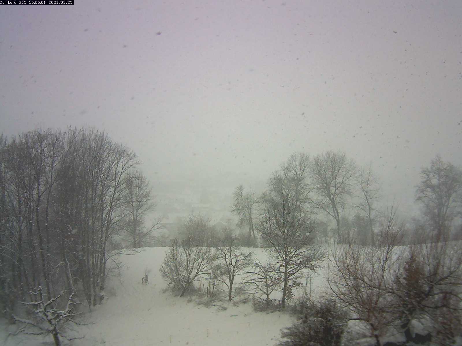 Webcam-Bild: Aussicht vom Dorfberg in Langnau 20210125-160601