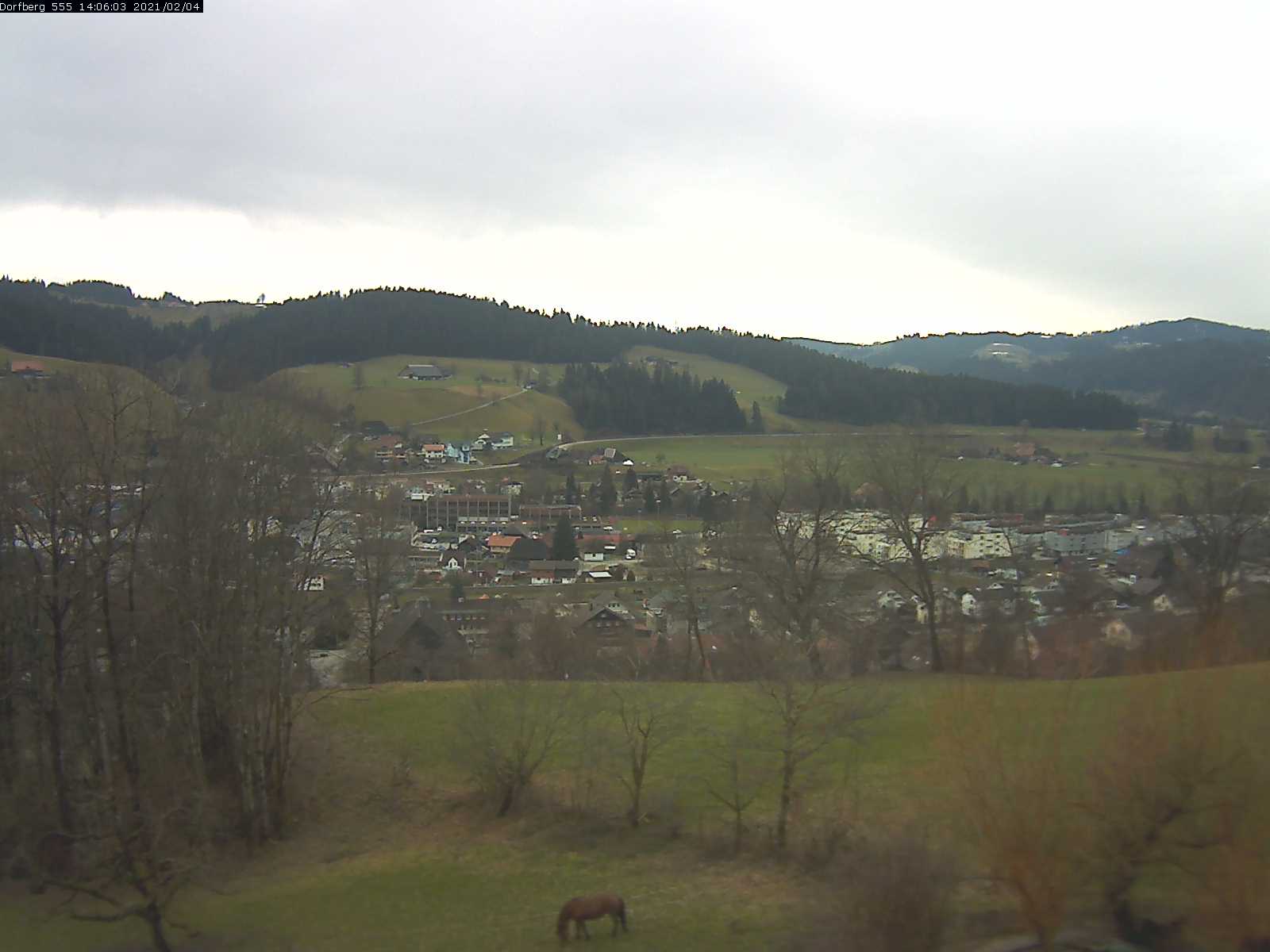 Webcam-Bild: Aussicht vom Dorfberg in Langnau 20210204-140601