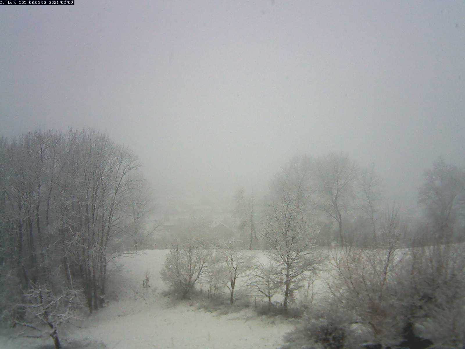 Webcam-Bild: Aussicht vom Dorfberg in Langnau 20210209-080601