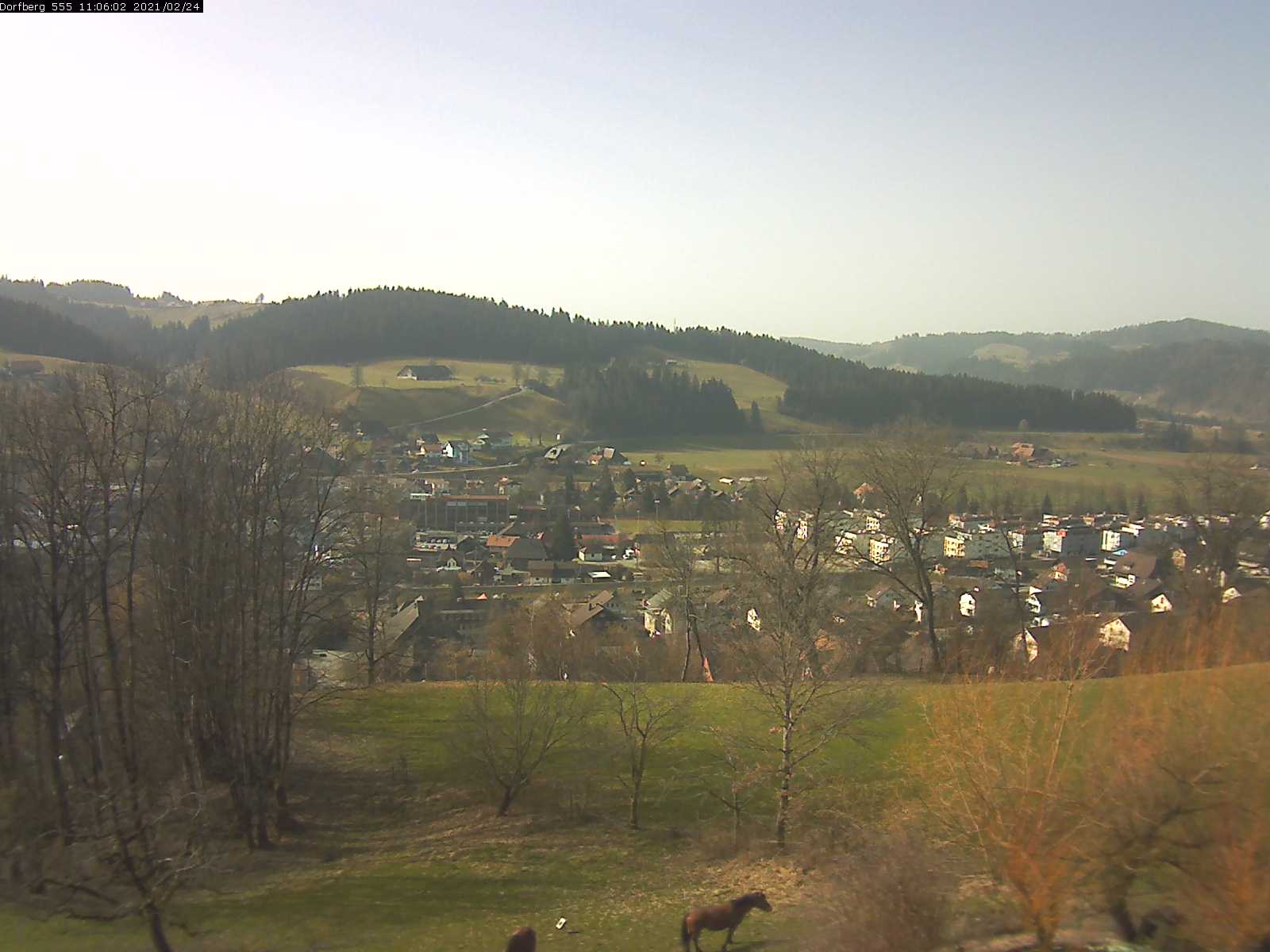 Webcam-Bild: Aussicht vom Dorfberg in Langnau 20210224-110601