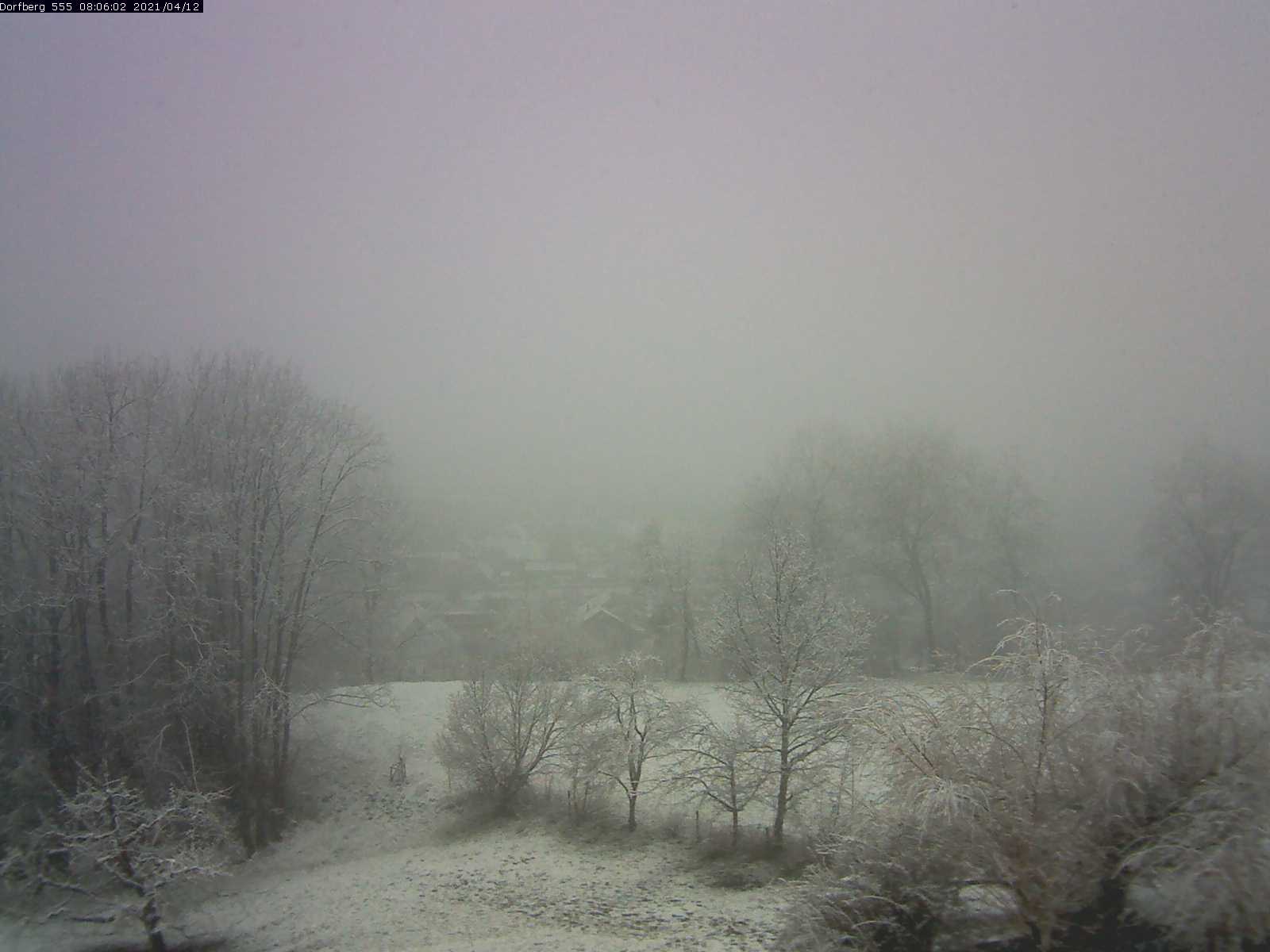 Webcam-Bild: Aussicht vom Dorfberg in Langnau 20210412-080601