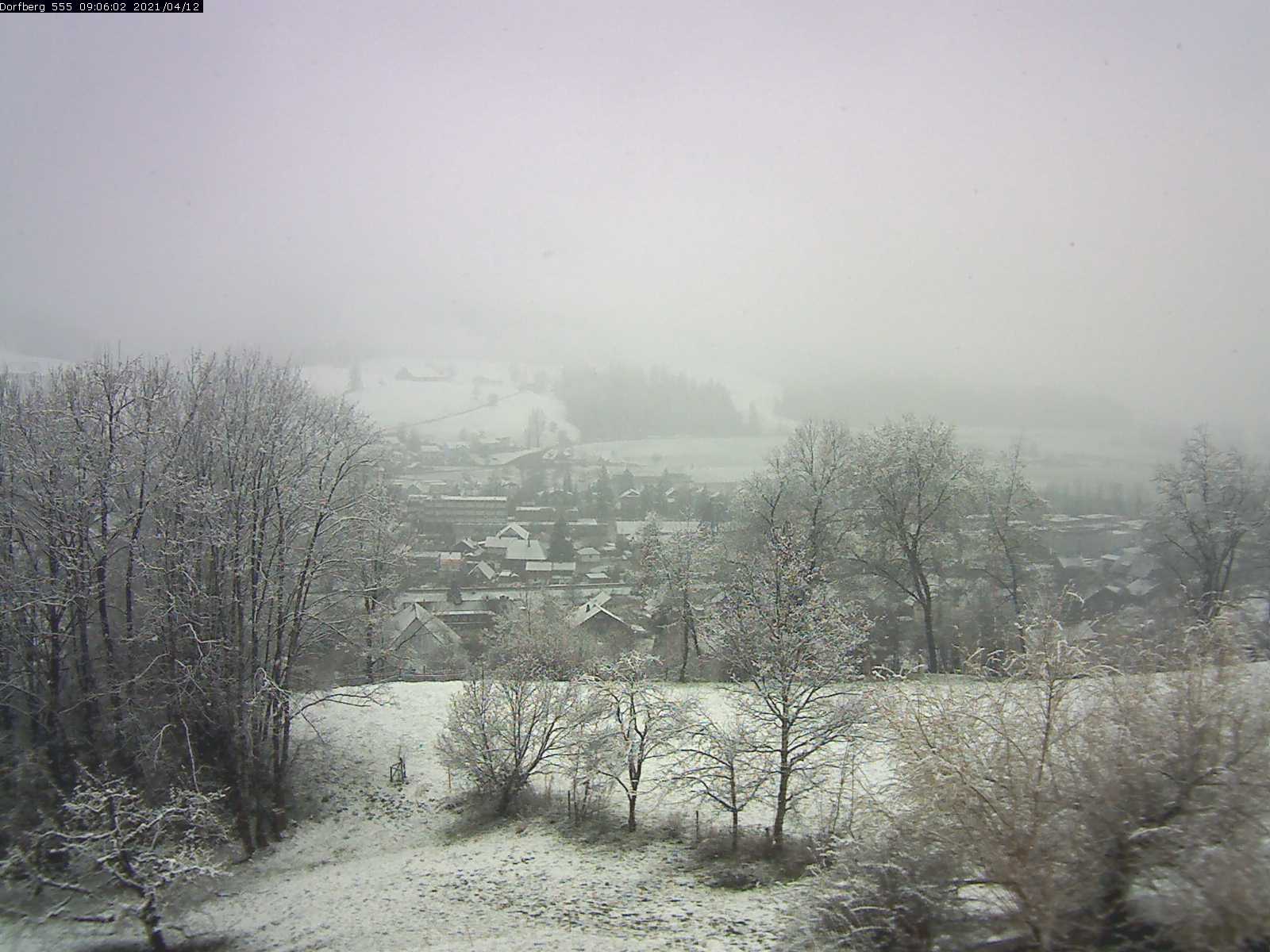 Webcam-Bild: Aussicht vom Dorfberg in Langnau 20210412-090601