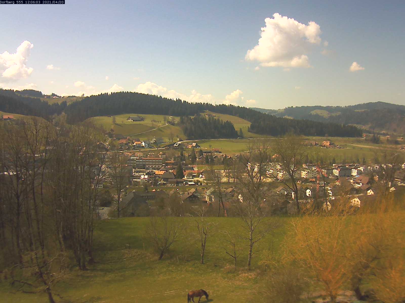 Webcam-Bild: Aussicht vom Dorfberg in Langnau 20210420-120601