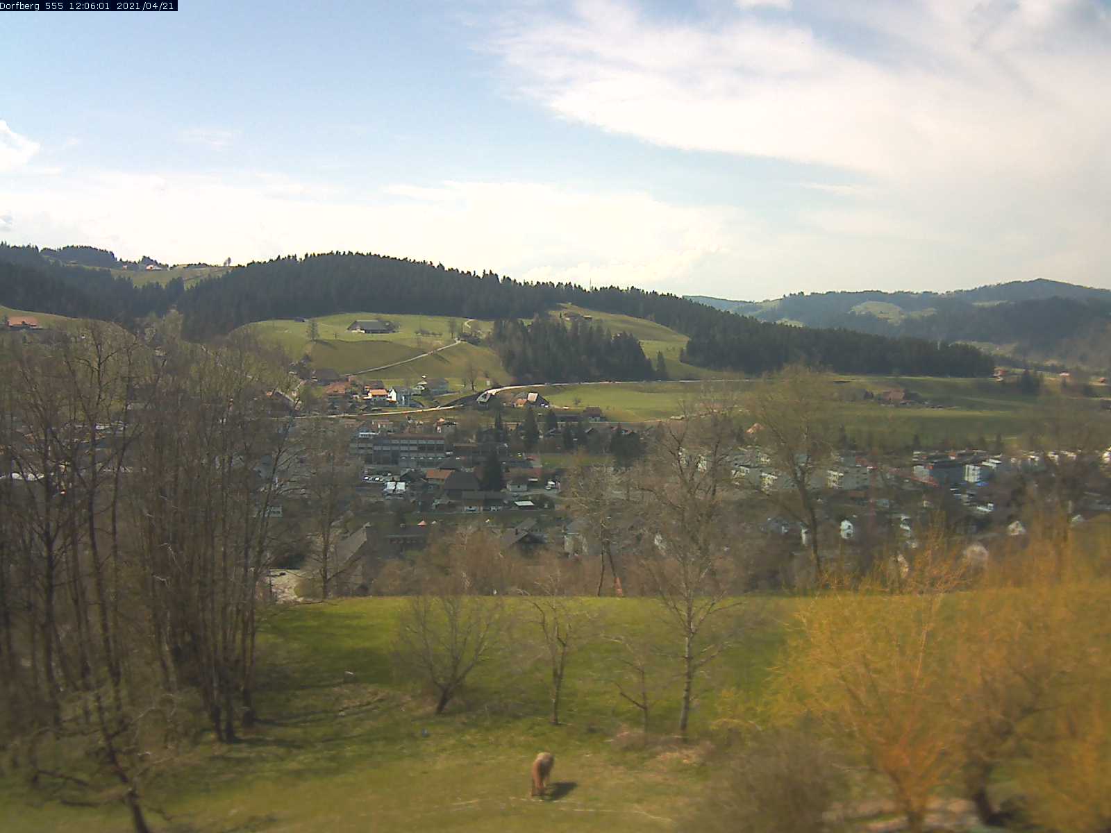 Webcam-Bild: Aussicht vom Dorfberg in Langnau 20210421-120601