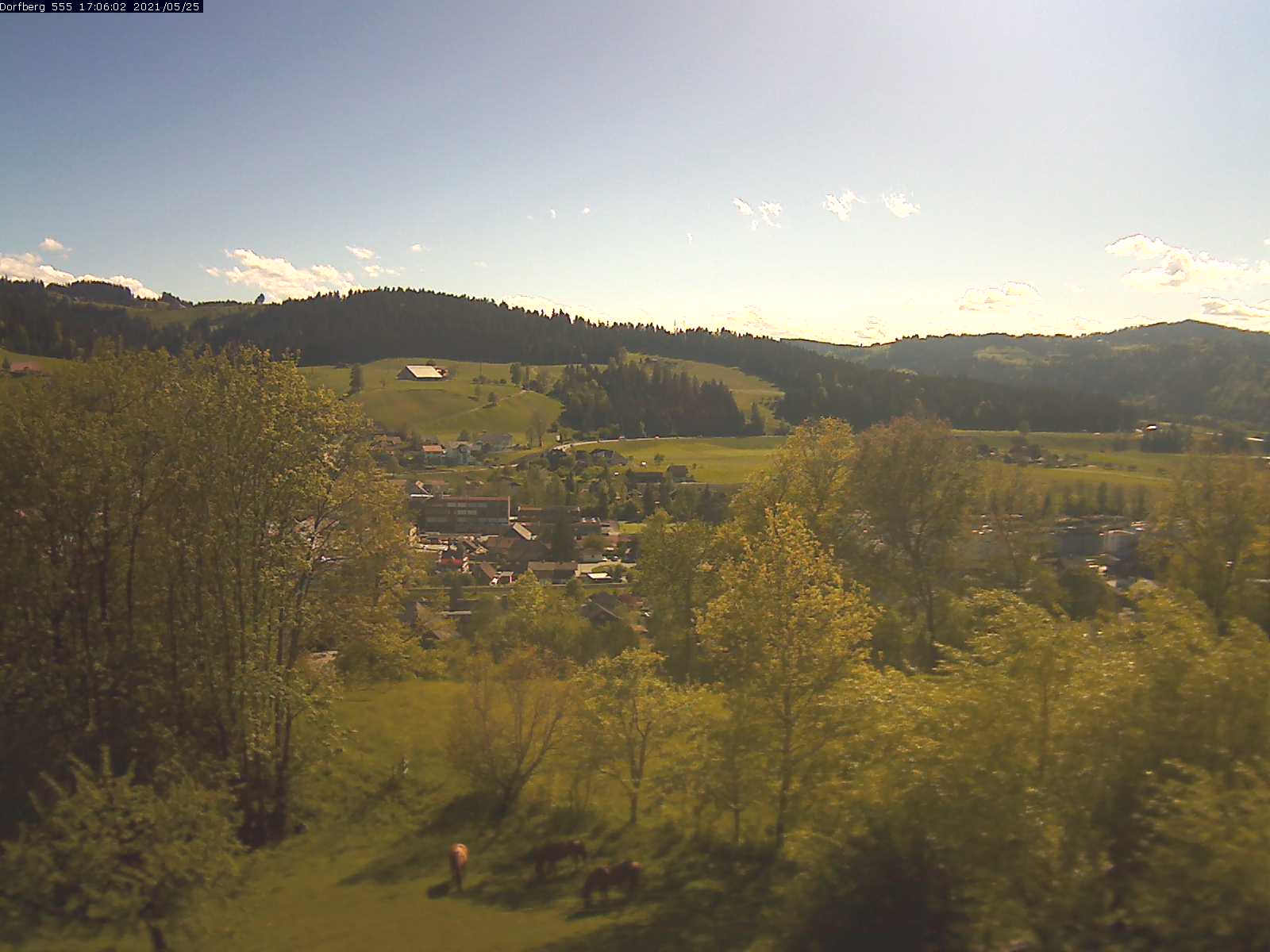 Webcam-Bild: Aussicht vom Dorfberg in Langnau 20210525-170601