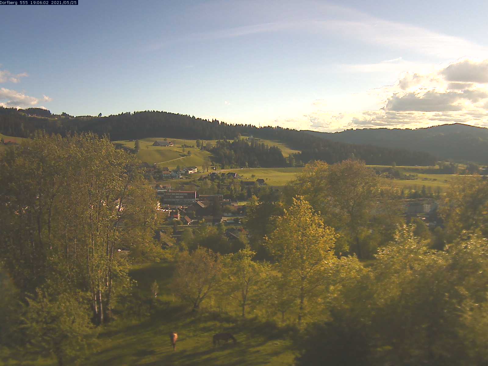 Webcam-Bild: Aussicht vom Dorfberg in Langnau 20210525-190601