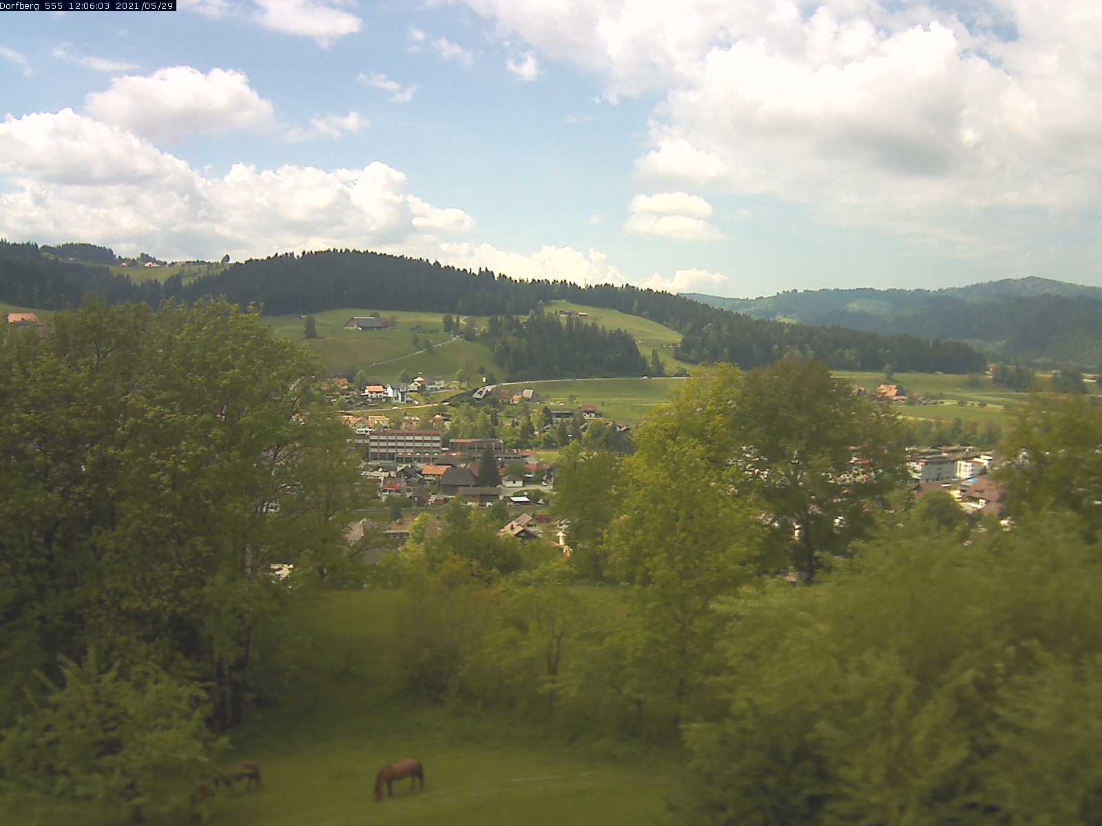 Webcam-Bild: Aussicht vom Dorfberg in Langnau 20210529-120601