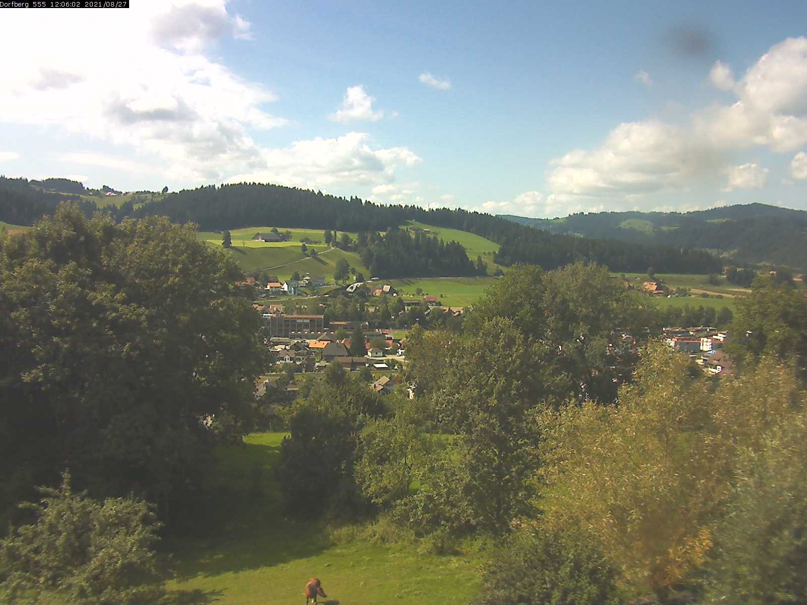 Webcam-Bild: Aussicht vom Dorfberg in Langnau 20210827-120601