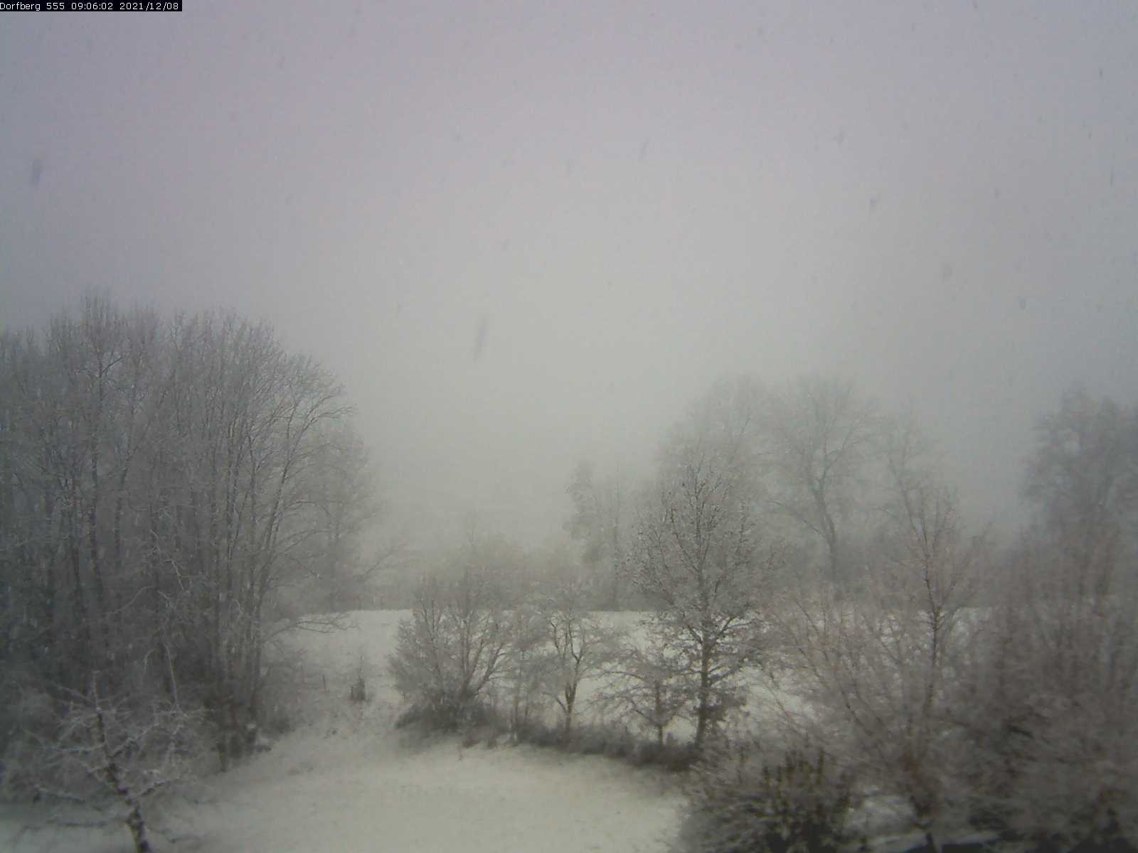 Webcam-Bild: Aussicht vom Dorfberg in Langnau 20211208-090601