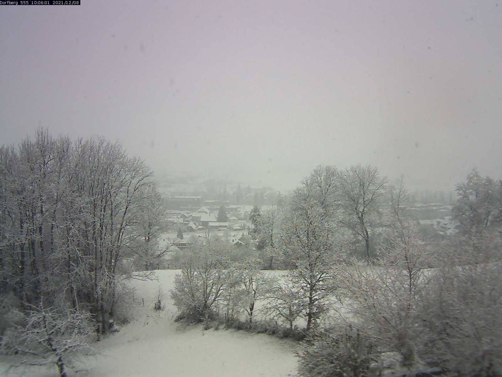 Webcam-Bild: Aussicht vom Dorfberg in Langnau 20211208-100601