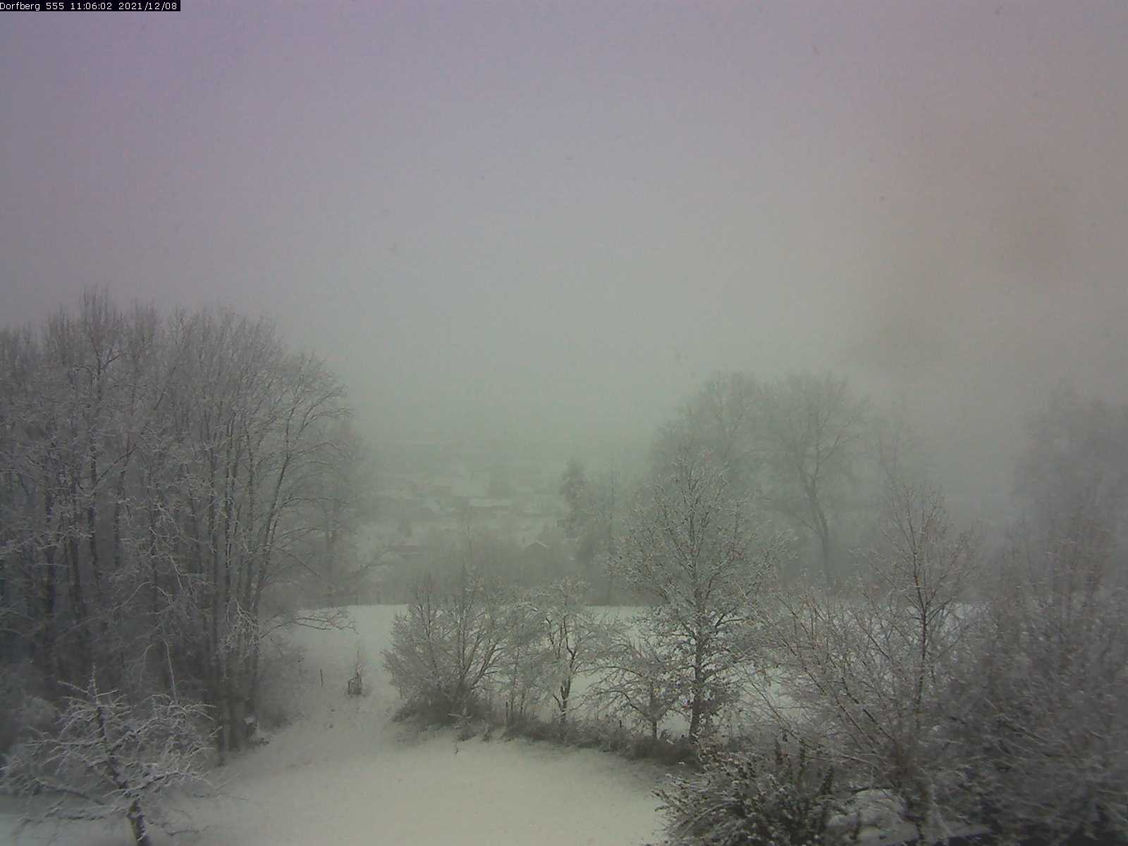 Webcam-Bild: Aussicht vom Dorfberg in Langnau 20211208-110601