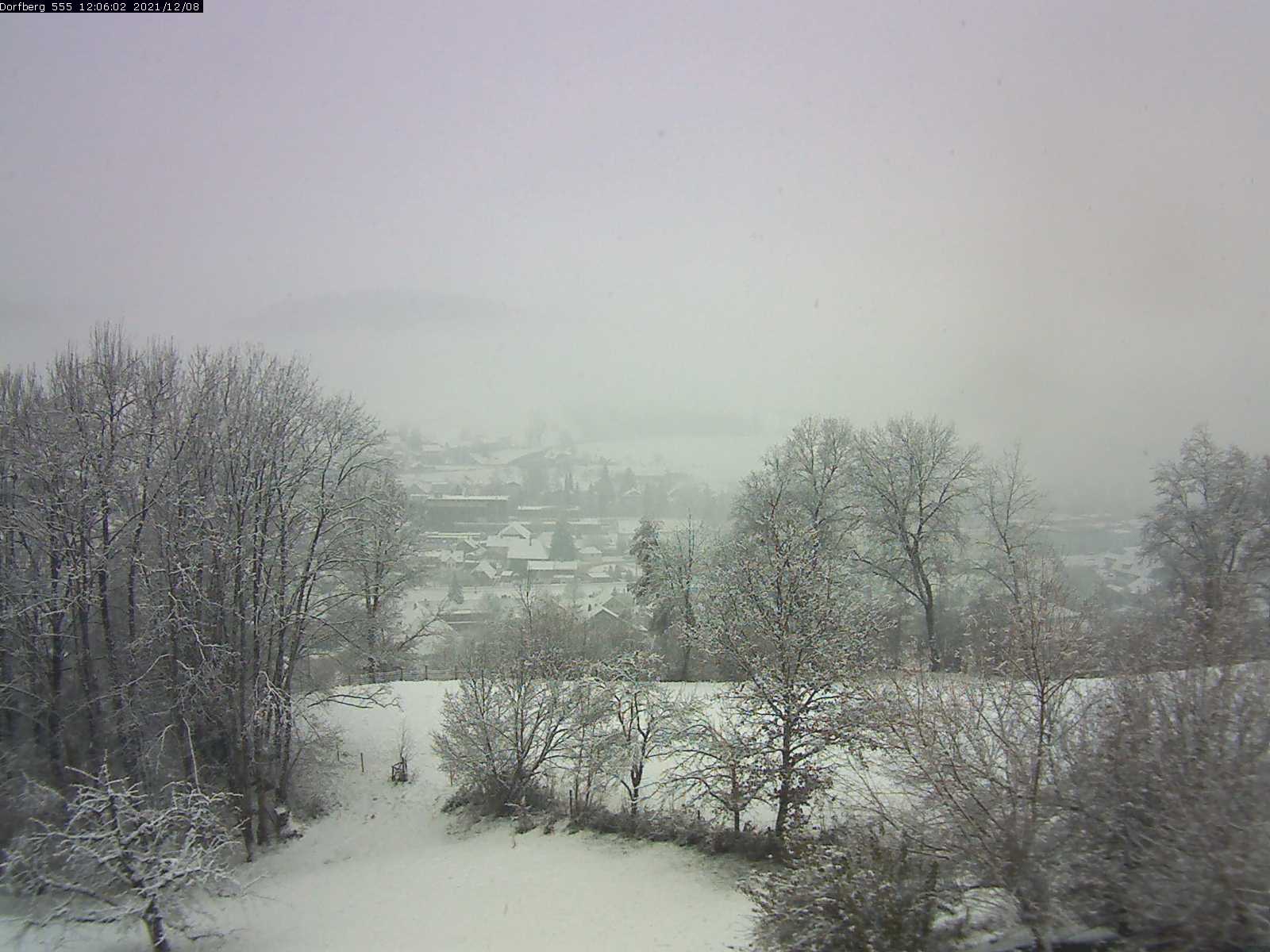Webcam-Bild: Aussicht vom Dorfberg in Langnau 20211208-120601