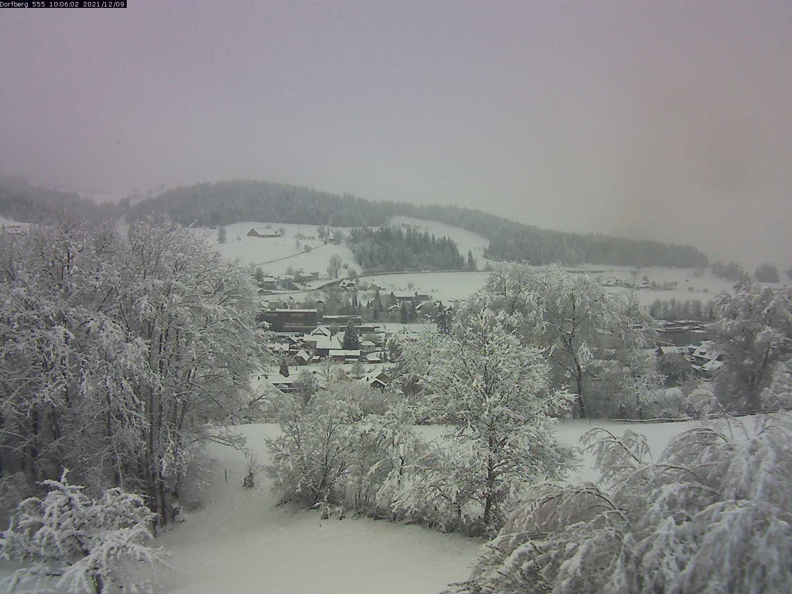 Webcam-Bild: Aussicht vom Dorfberg in Langnau 20211209-100601