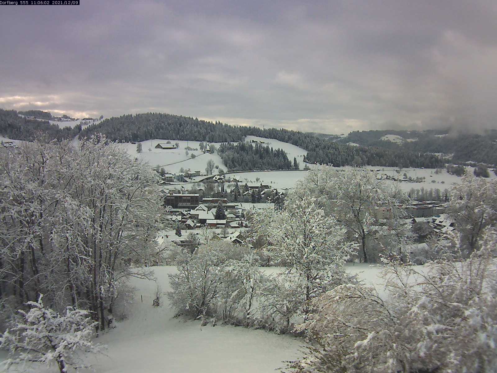 Webcam-Bild: Aussicht vom Dorfberg in Langnau 20211209-110601
