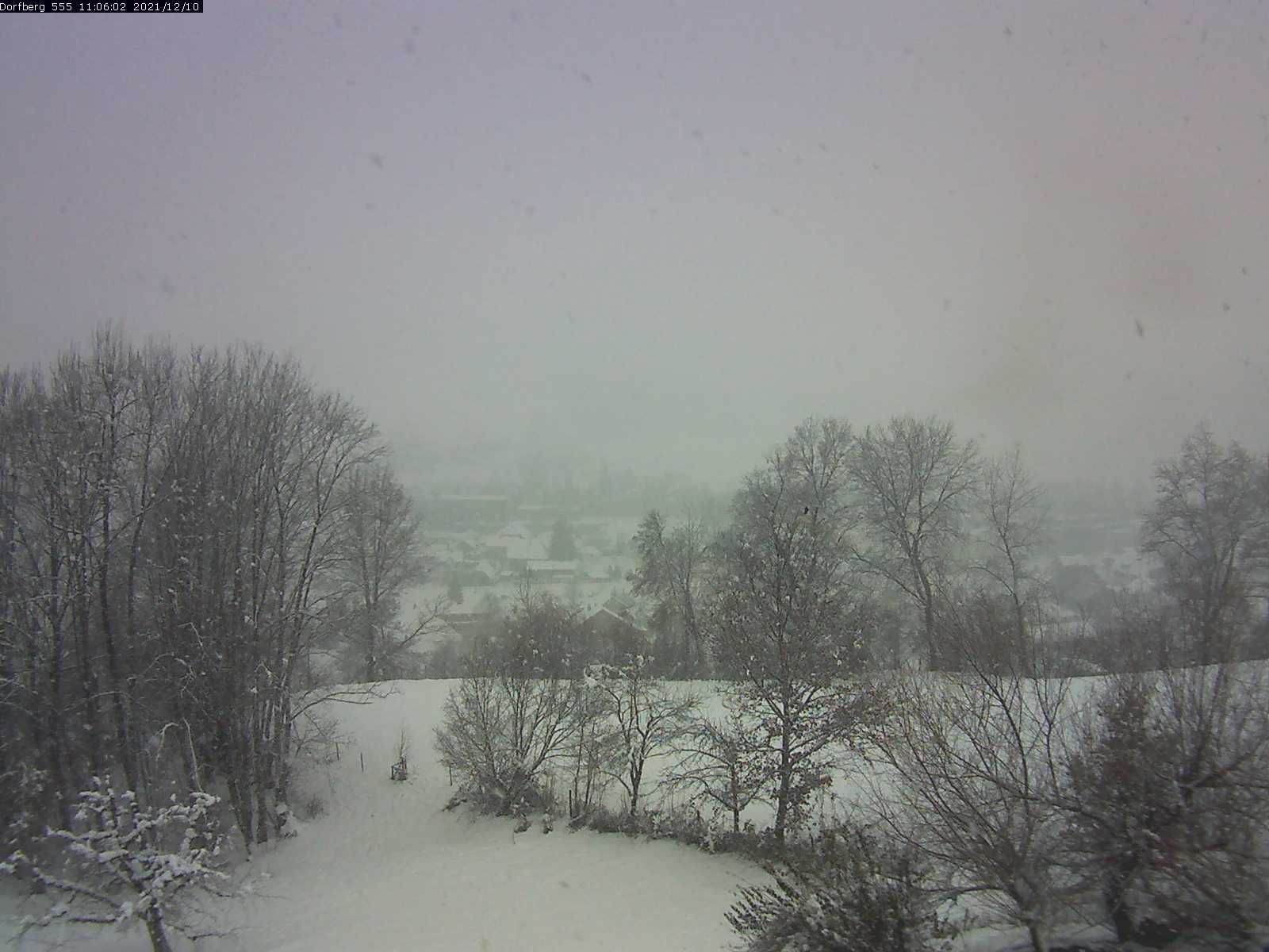 Webcam-Bild: Aussicht vom Dorfberg in Langnau 20211210-110601