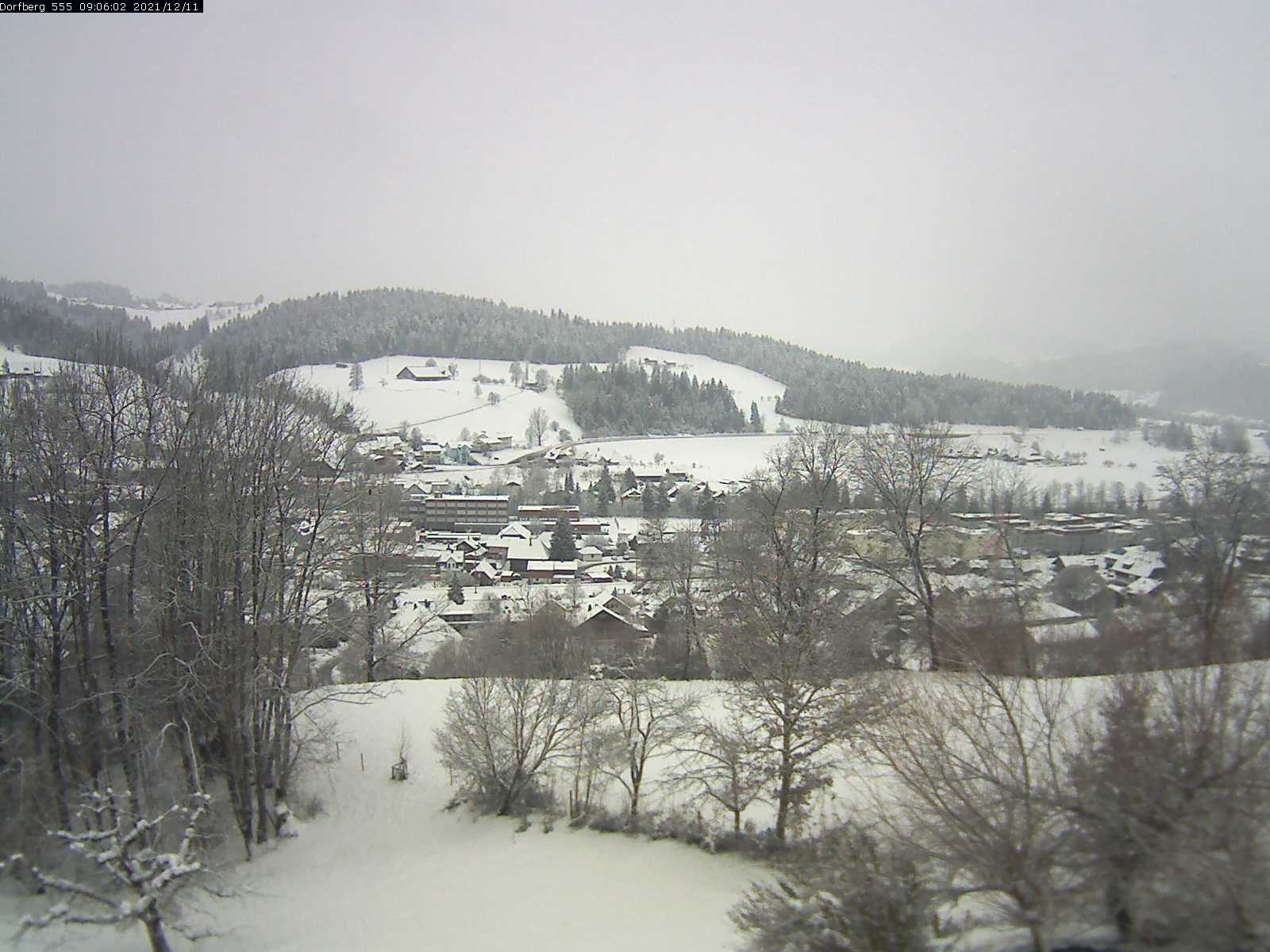 Webcam-Bild: Aussicht vom Dorfberg in Langnau 20211211-090601