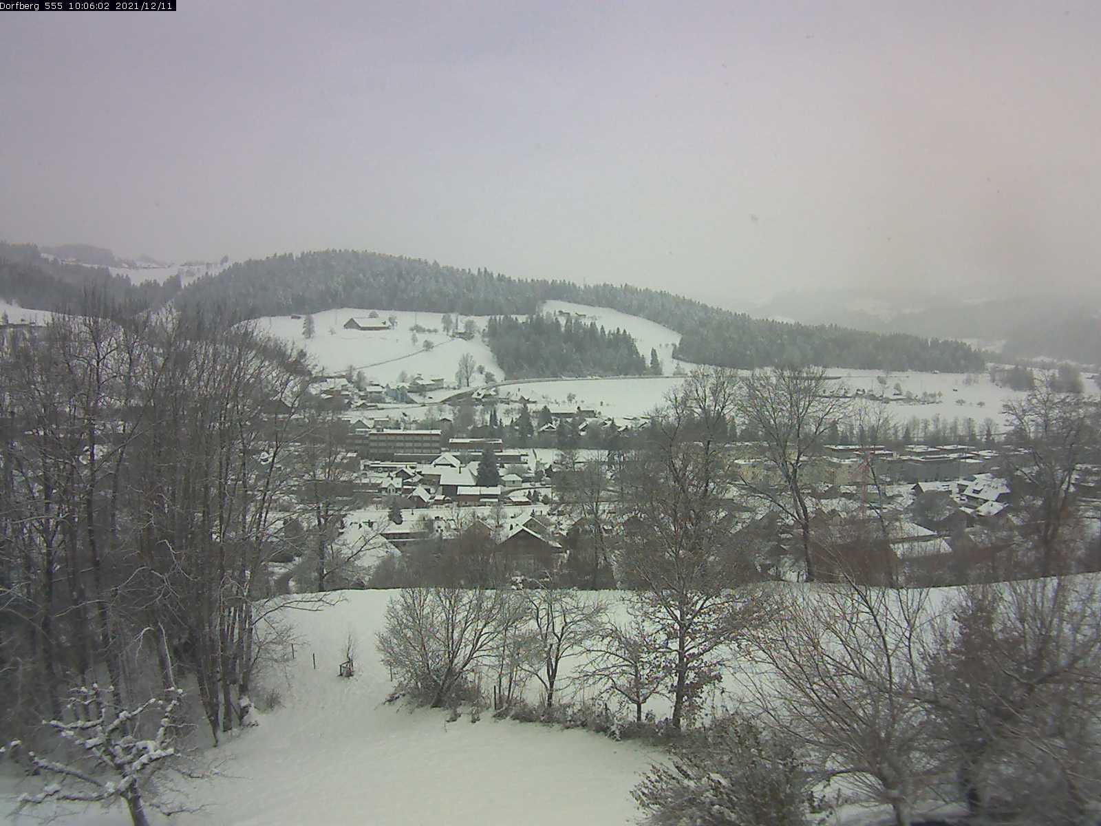 Webcam-Bild: Aussicht vom Dorfberg in Langnau 20211211-100601