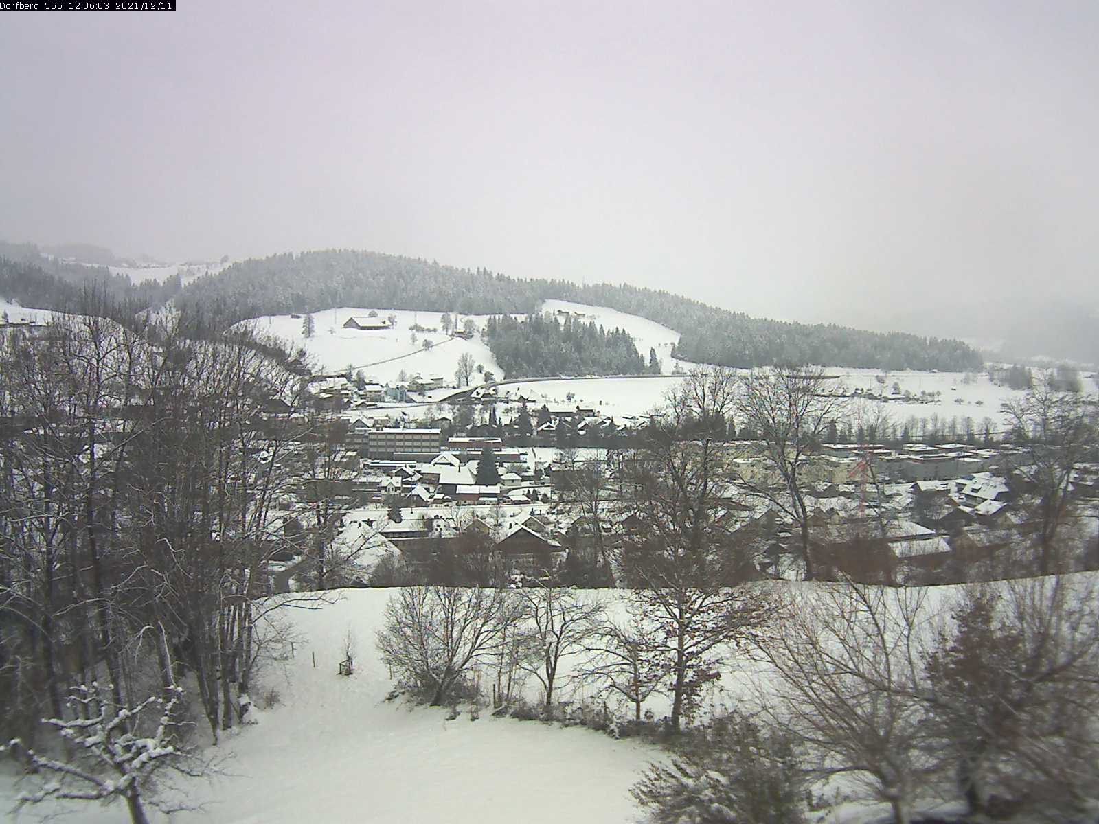 Webcam-Bild: Aussicht vom Dorfberg in Langnau 20211211-120601