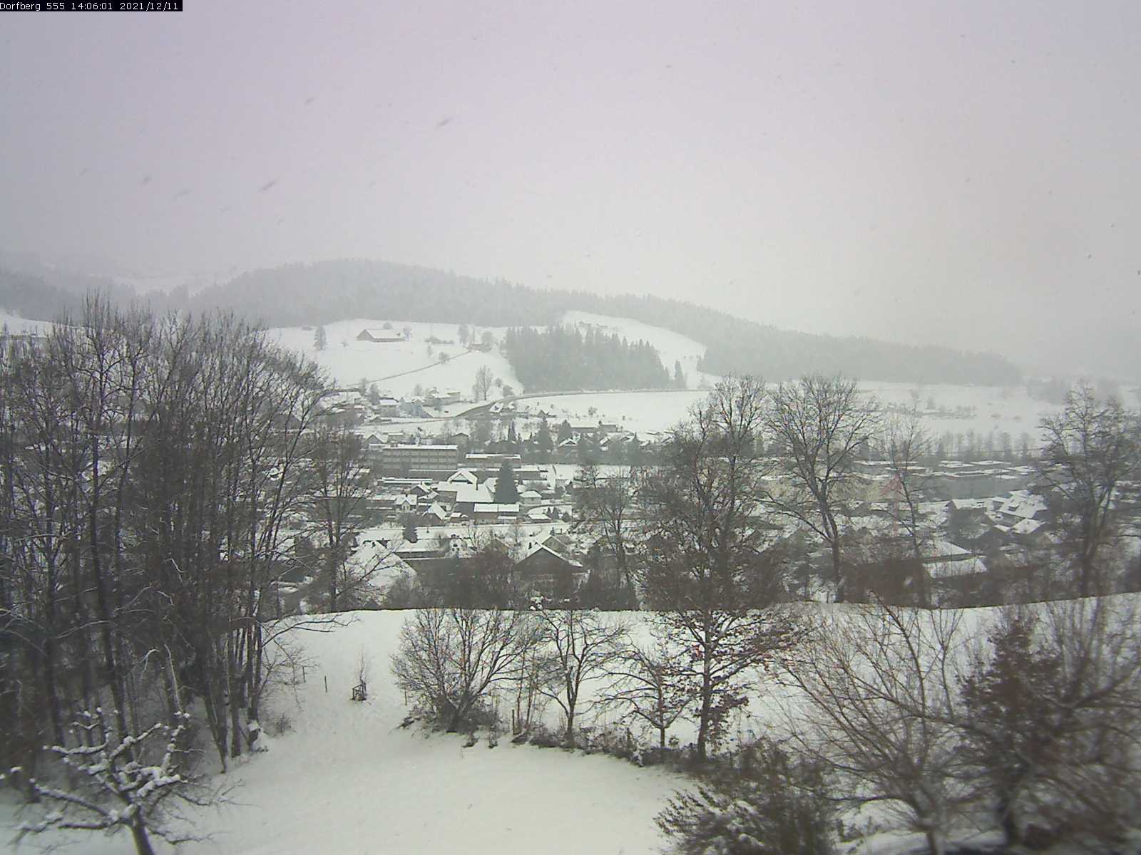 Webcam-Bild: Aussicht vom Dorfberg in Langnau 20211211-140601