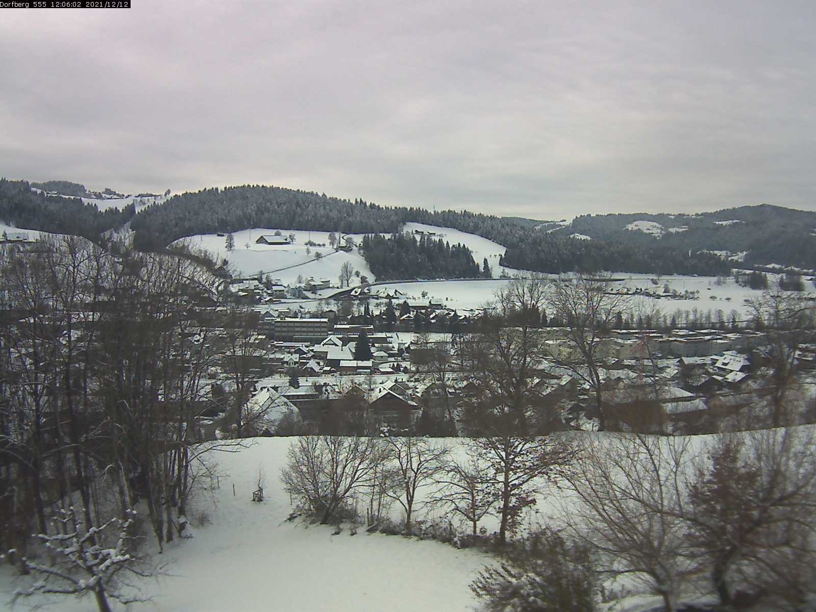 Webcam-Bild: Aussicht vom Dorfberg in Langnau 20211212-120601