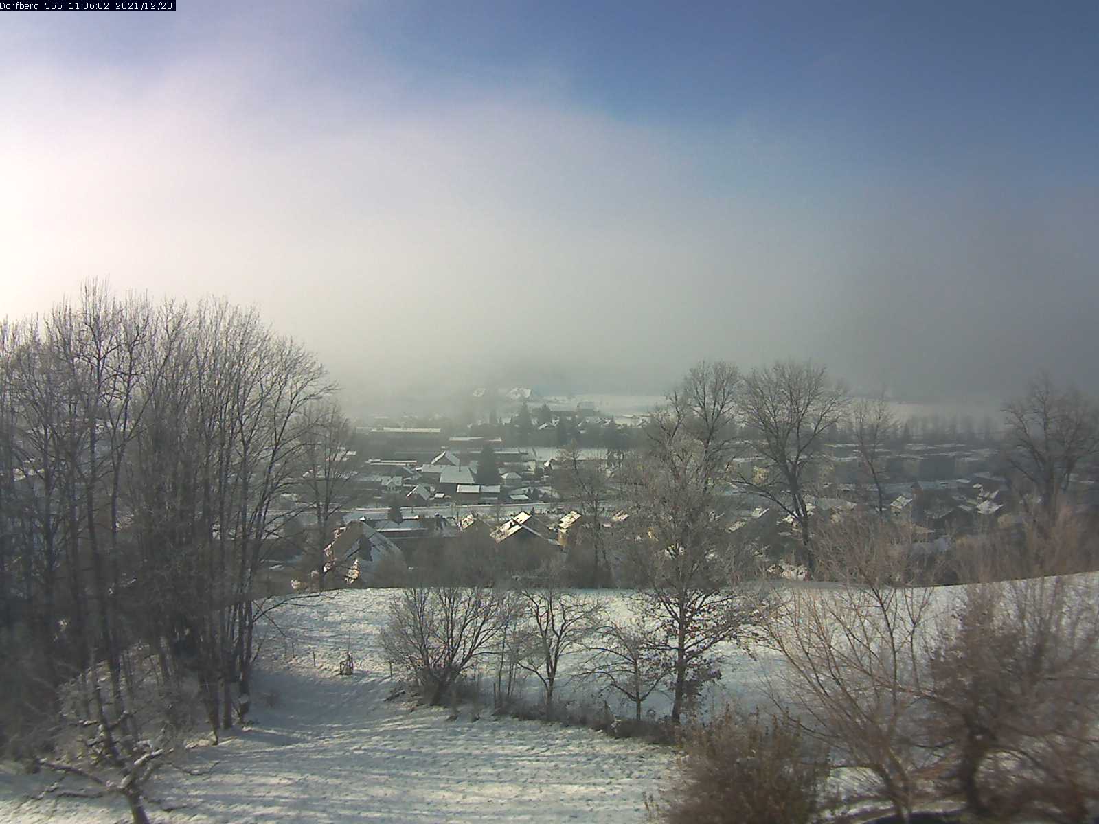 Webcam-Bild: Aussicht vom Dorfberg in Langnau 20211220-110601