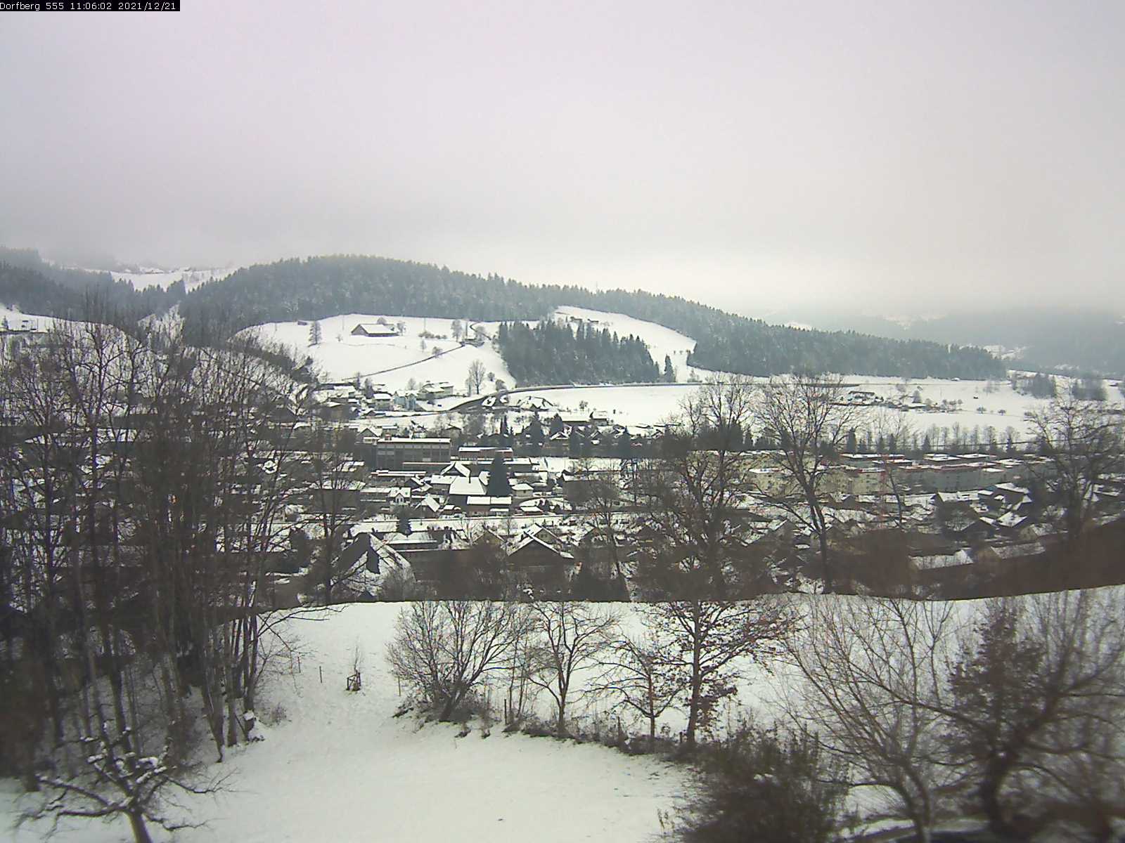 Webcam-Bild: Aussicht vom Dorfberg in Langnau 20211221-110601