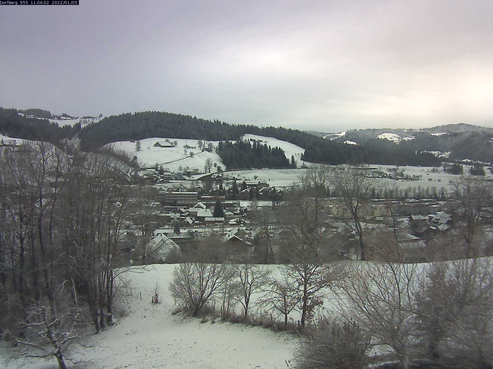 Webcam-Bild: Aussicht vom Dorfberg in Langnau 20220105-110601