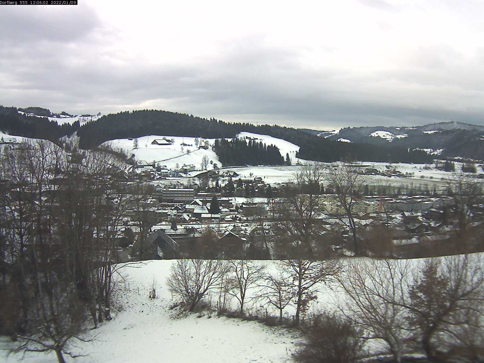 Webcam-Bild: Aussicht vom Dorfberg in Langnau 20220109-120601