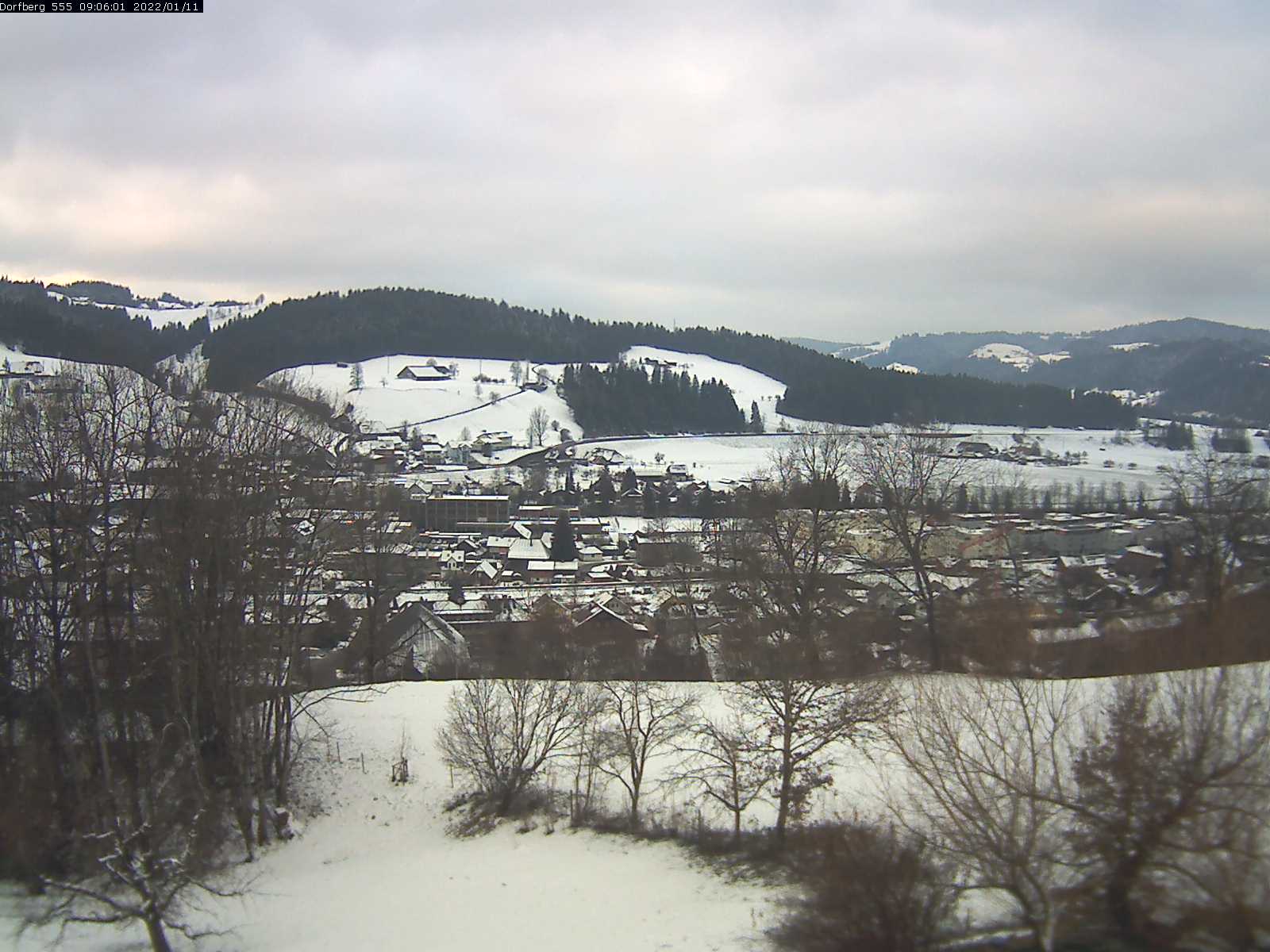 Webcam-Bild: Aussicht vom Dorfberg in Langnau 20220111-090601