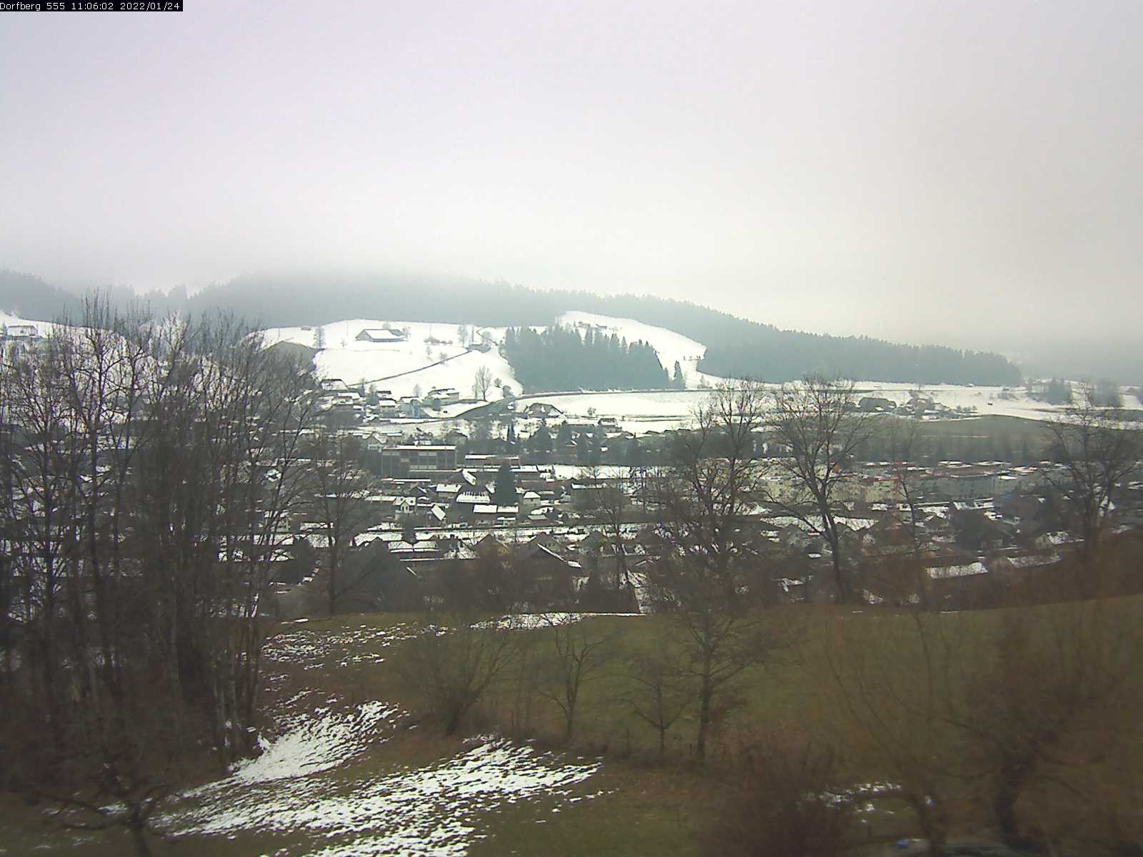 Webcam-Bild: Aussicht vom Dorfberg in Langnau 20220124-110601