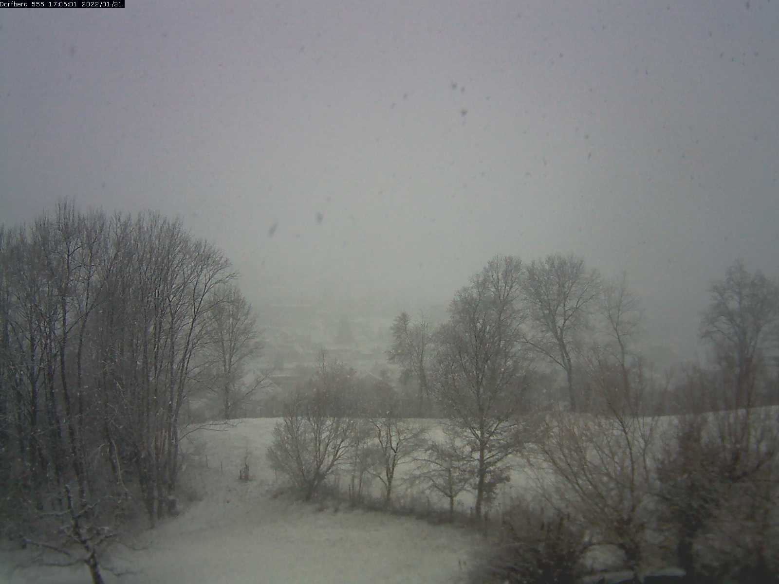 Webcam-Bild: Aussicht vom Dorfberg in Langnau 20220131-170601