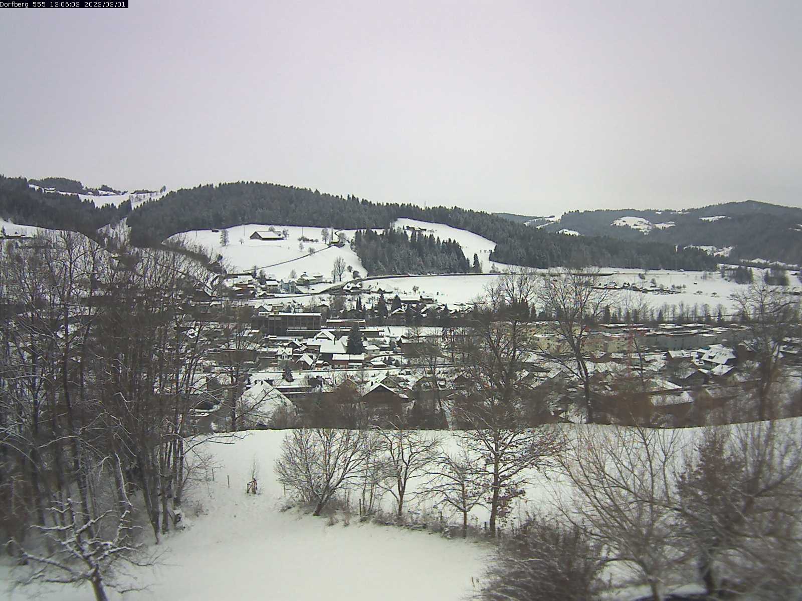 Webcam-Bild: Aussicht vom Dorfberg in Langnau 20220201-120602