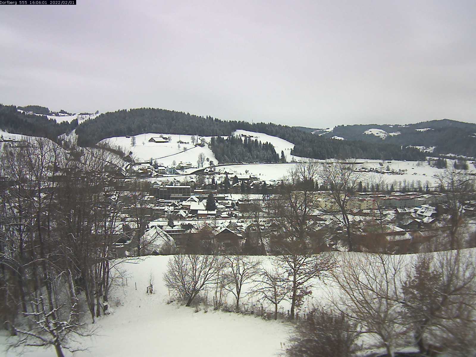 Webcam-Bild: Aussicht vom Dorfberg in Langnau 20220201-160601