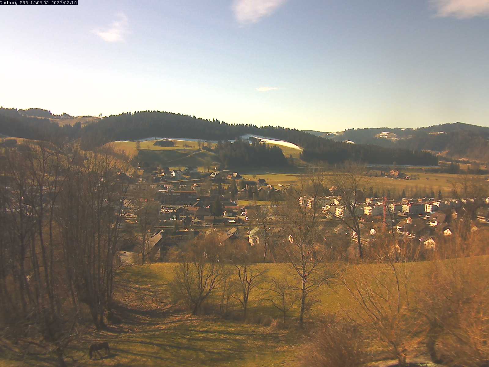 Webcam-Bild: Aussicht vom Dorfberg in Langnau 20220210-120601