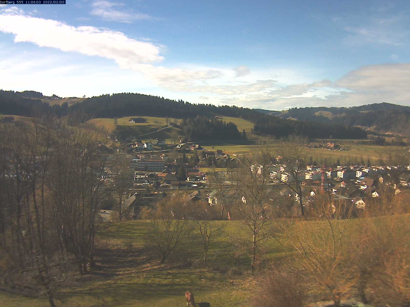 Webcam-Bild: Aussicht vom Dorfberg in Langnau 20220220-110601