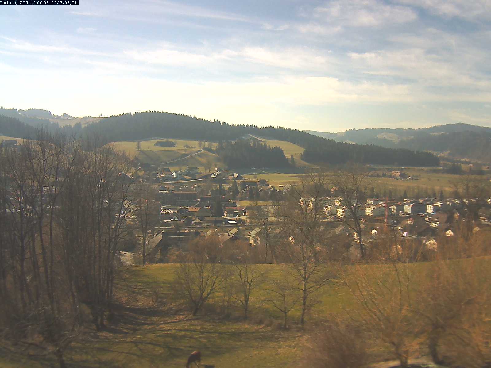 Webcam-Bild: Aussicht vom Dorfberg in Langnau 20220301-120601