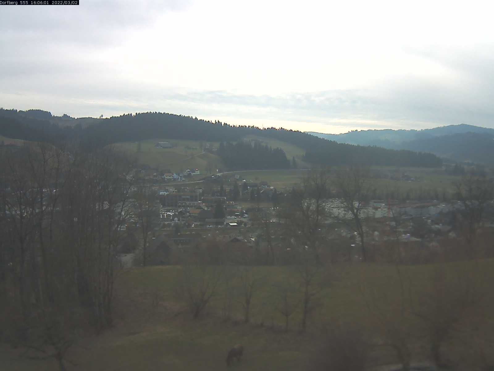 Webcam-Bild: Aussicht vom Dorfberg in Langnau 20220302-160601