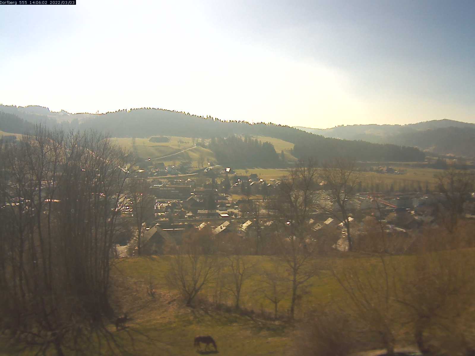 Webcam-Bild: Aussicht vom Dorfberg in Langnau 20220303-140601