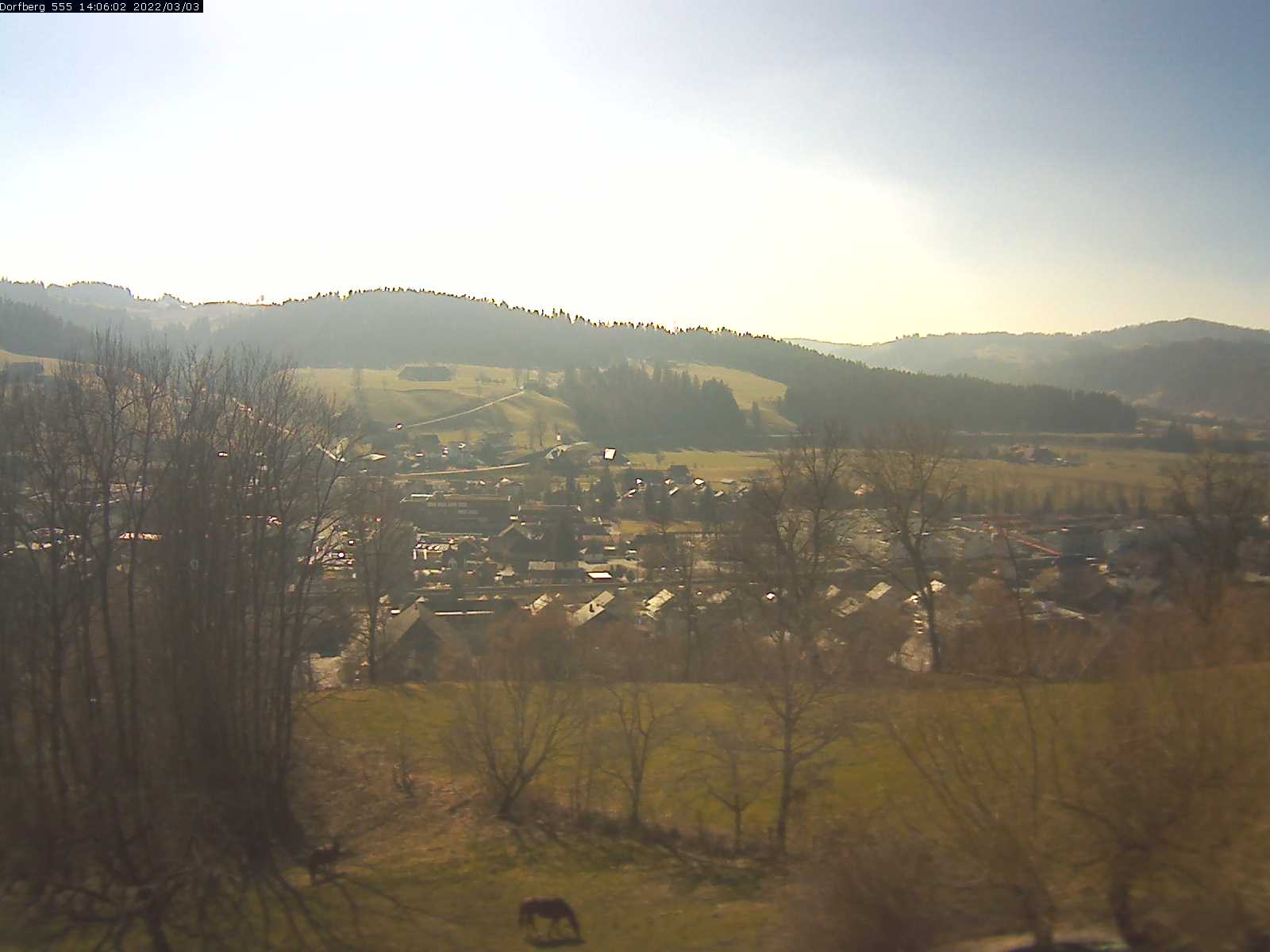 Webcam-Bild: Aussicht vom Dorfberg in Langnau 20220303-140601