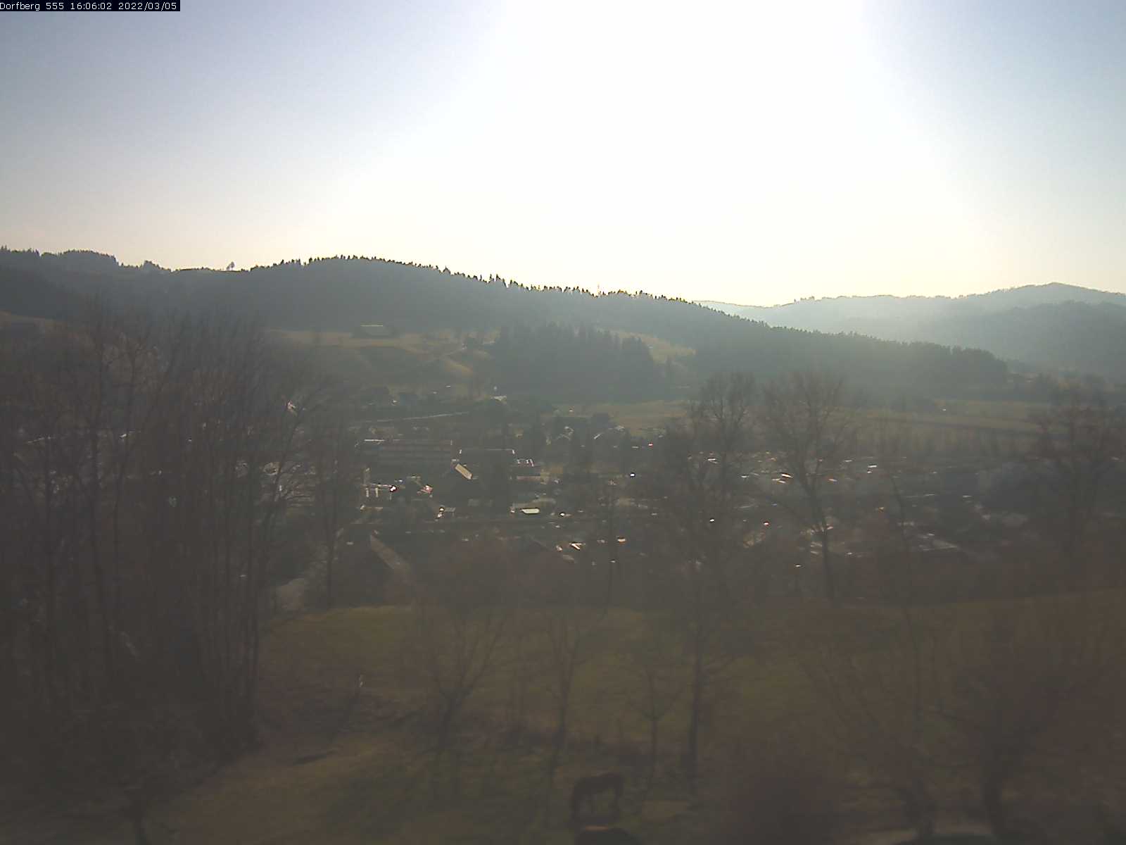 Webcam-Bild: Aussicht vom Dorfberg in Langnau 20220305-160601