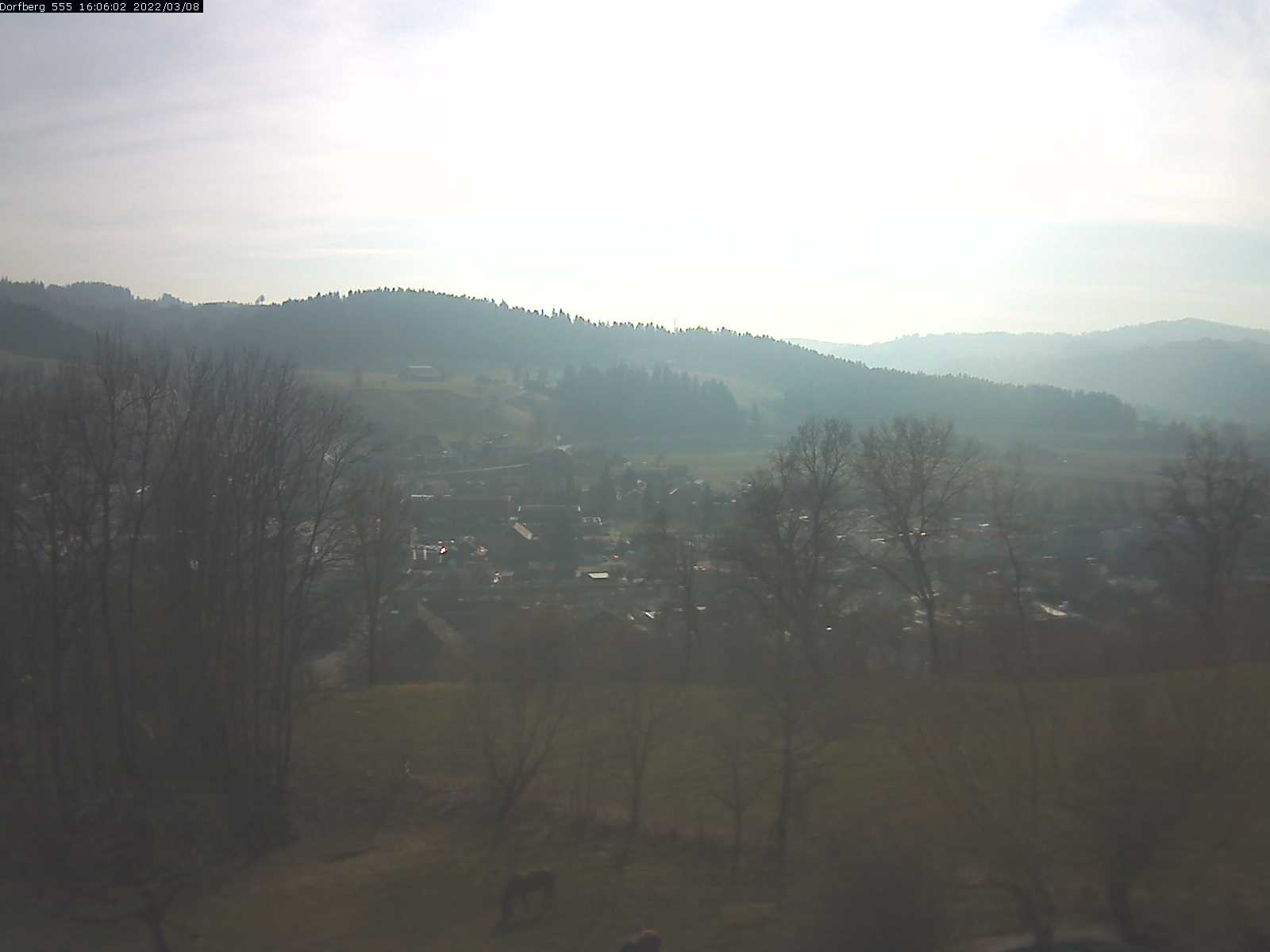 Webcam-Bild: Aussicht vom Dorfberg in Langnau 20220308-160601