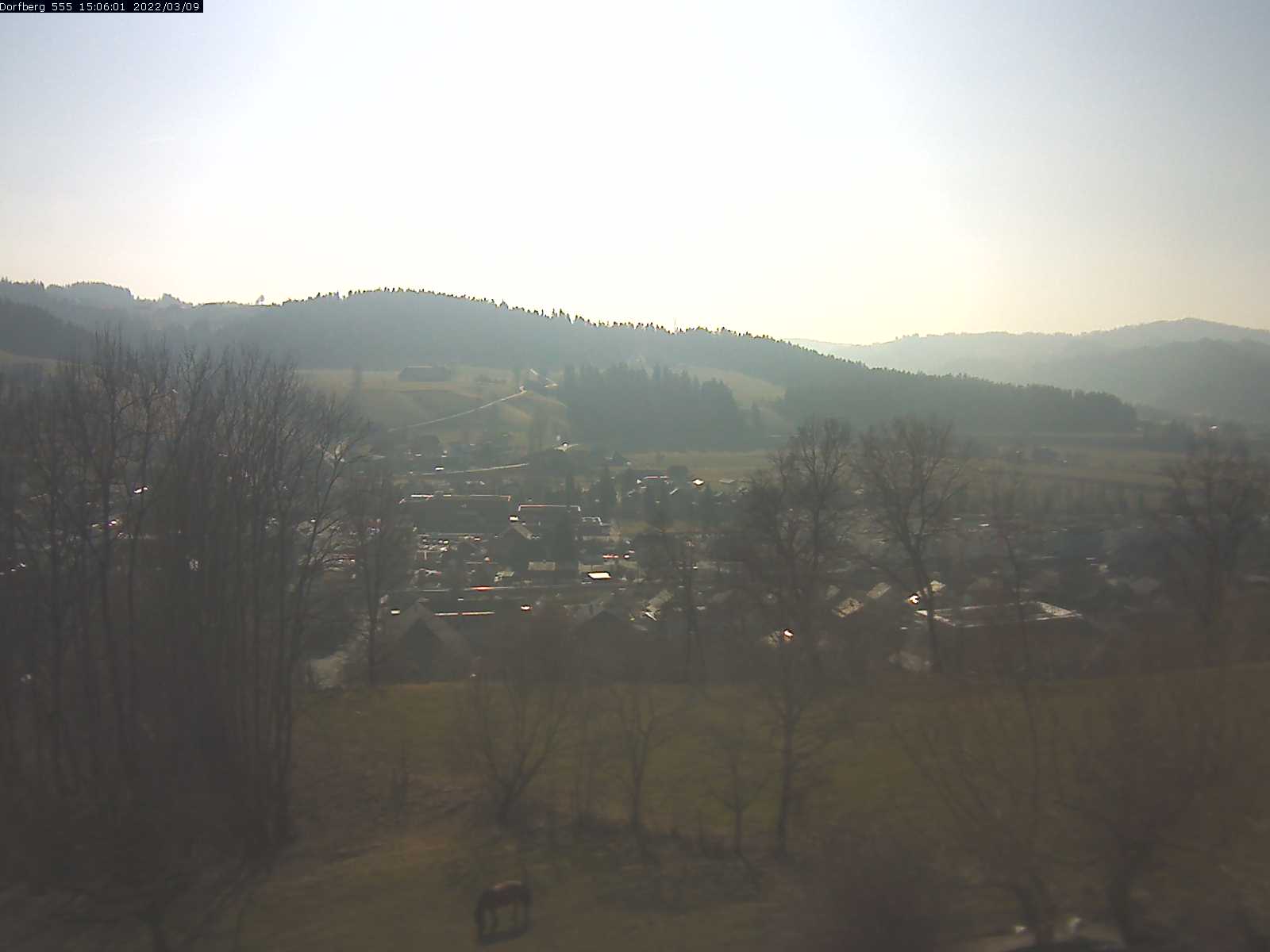 Webcam-Bild: Aussicht vom Dorfberg in Langnau 20220309-150601