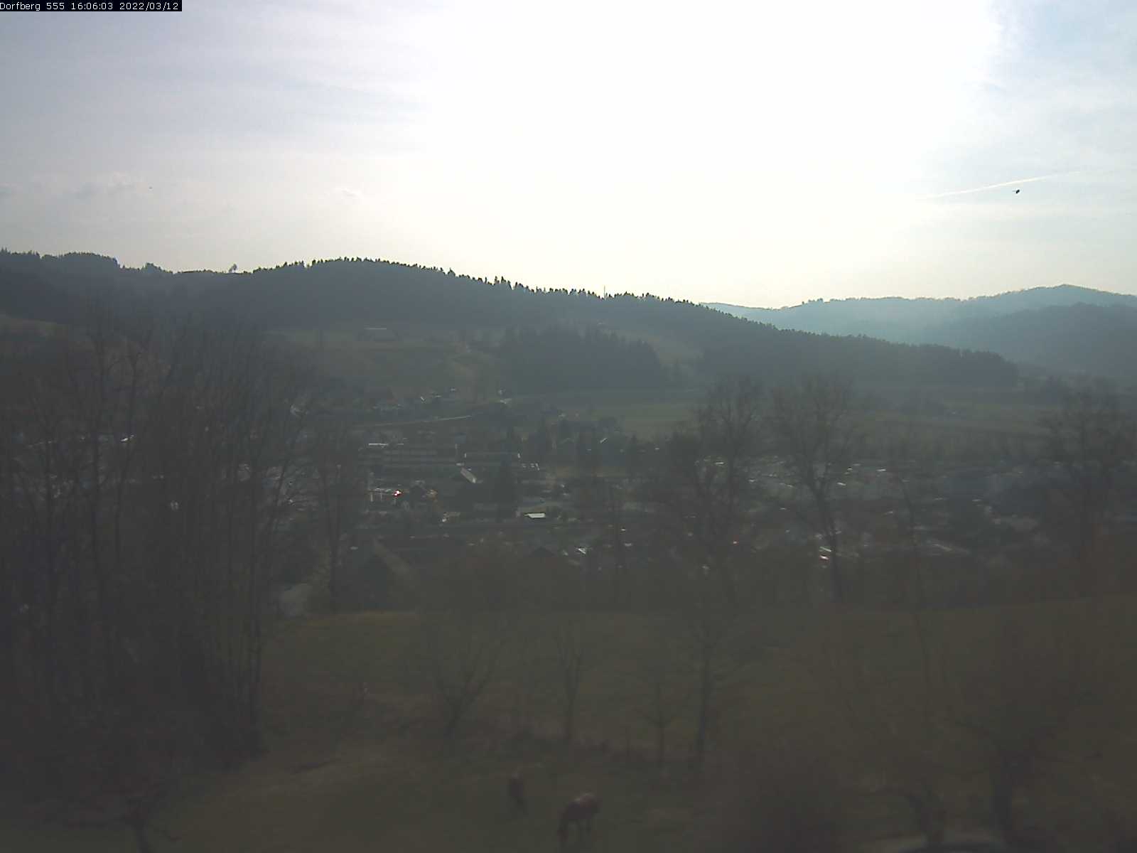 Webcam-Bild: Aussicht vom Dorfberg in Langnau 20220312-160601