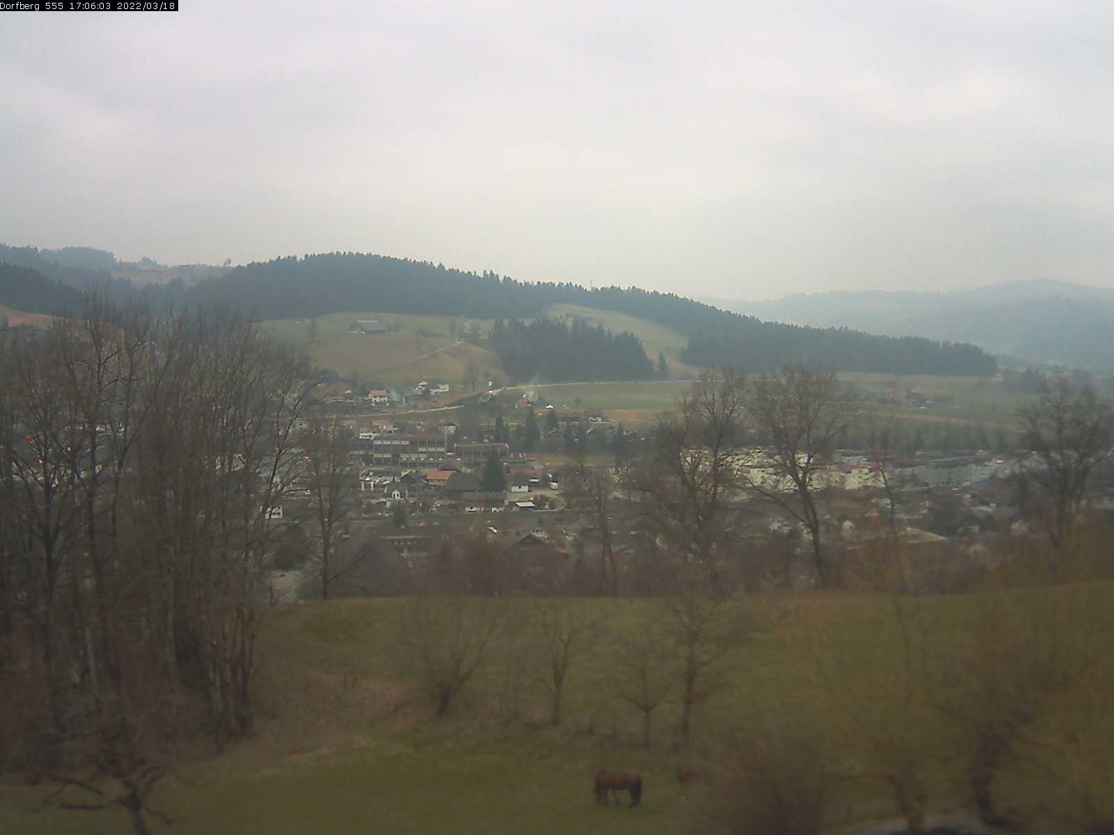 Webcam-Bild: Aussicht vom Dorfberg in Langnau 20220318-170601